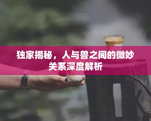 獨(dú)家揭秘，人與獸之間的微妙關(guān)系深度解析