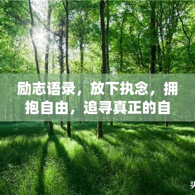 勵(lì)志語(yǔ)錄，放下執(zhí)念，擁抱自由，追尋真正的自我之路